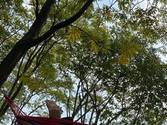 -贡湖湾湿地公园