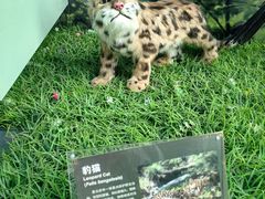 -房山世界地质公园博物馆