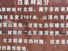 -白草畔自然风景区