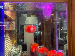-小吊梨汤·北京菜·烤鸭(清河万象汇店)
