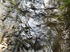 -大余丫山旅游度假区