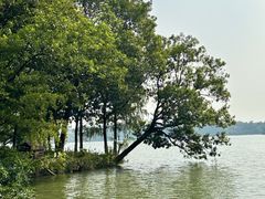 -海珠湖公园