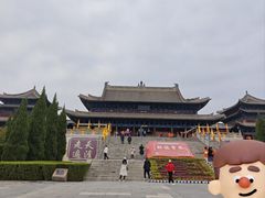 -大槐树寻根祭祖园