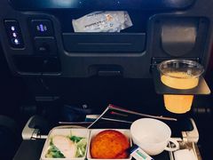 -新加坡航空公司(ION)