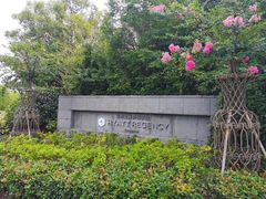 -上海崇明金茂凯悦酒店