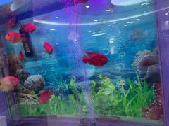 -雅悦齿科(顾村公园店)