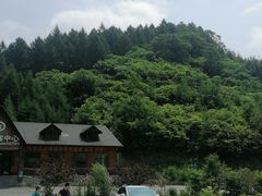 -天女山森林公园