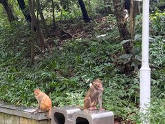 -黔灵山公园