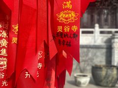 -灵谷景区