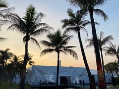 -欢乐海岸椰林沙滩-2025湾区超级灯会