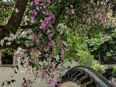 -深圳国际园林花卉博览园