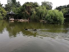 -水绘园