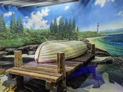 -上海海洋水族馆