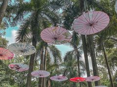 -华南国家植物园-售票处