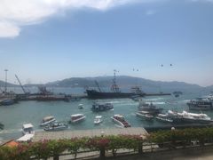 -珊瑚岛
