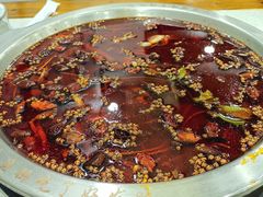 -老表牌·蛙蛙鸡冷锅鱼(成都东站店)