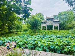 -西溪国家湿地公园