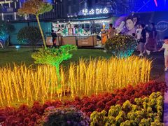 -第35届青岛国际啤酒节