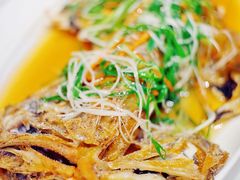 秘汁蒸新西兰长寿鱼-匠心牛公馆·潮汕牛肉海鲜火锅(索菲特店)