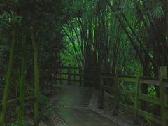 -凤栖山