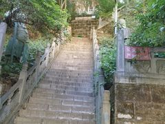 -藏山旅游风景区