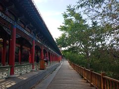 -兰山公园