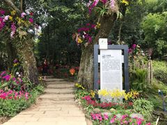 -广州市石门国家森林公园
