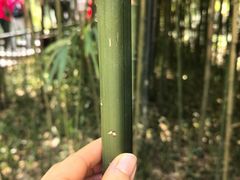 -常德桃花源景区