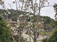 -无锡梅园公园