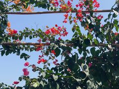 -三亚南山文化旅游区