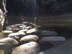 -牛背梁国家森林公园
