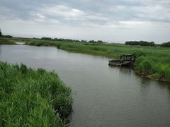 -白渔泡湿地公园