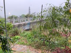 -生态苑农庄(十里画廊遇龙河店)