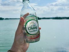 -贡湖湾湿地公园