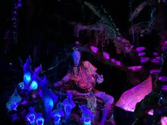 -奥兰多迪士尼动物王国乐园