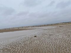 -刘家湾赶海园