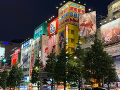 -秋叶原电器街