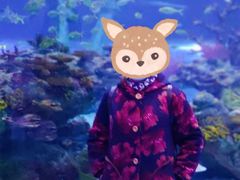 -上海海昌海洋公园-冰山北极馆