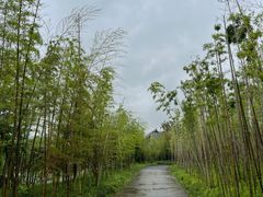 -兰亭风景区