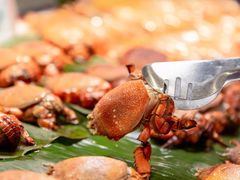 -五月罗马海鲜自助餐厅(月星环球港店)