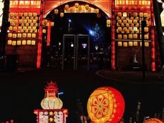 -欢乐海岸椰林沙滩-2025湾区超级灯会