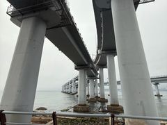 -星海湾跨海大桥