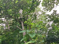 -北京鹫峰国家森林公园
