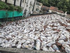 -普朗姆生蚝吧(原建国路店)