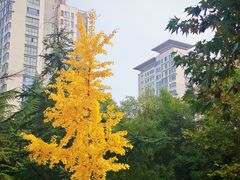 -木塔寺遗址生态公园