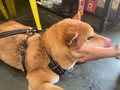 -花满楼(启秀路店)