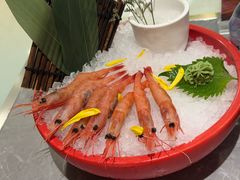 -一绪に寿喜烧(虹悦城店)
