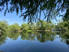 -上海共青森林公园