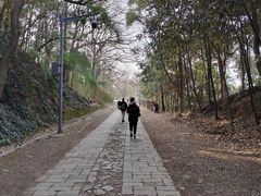 -上海佘山国家森林公园西佘山园