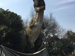 -中华恐龙园